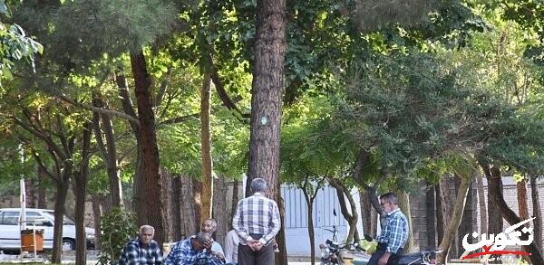 بررسی دغدغههای بازنشستگان در طرح «دوشنبهها با مدیران تأمین اجتماعی»؛ معوقات و وامها در صدر پرسشها